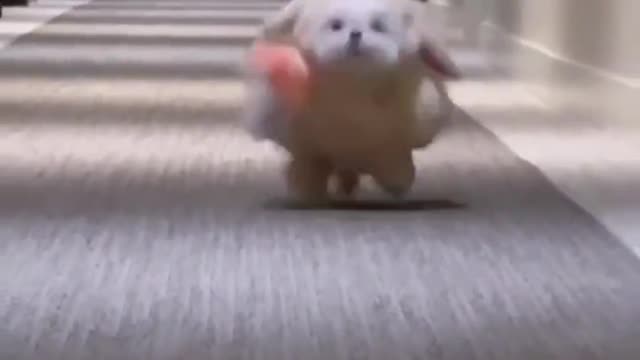 How can there be such a lovely creature in this world