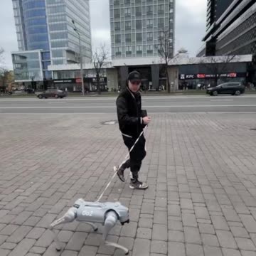 Guardate come si divertono questi degenerati , con un pezzo di ferraglia 🤔