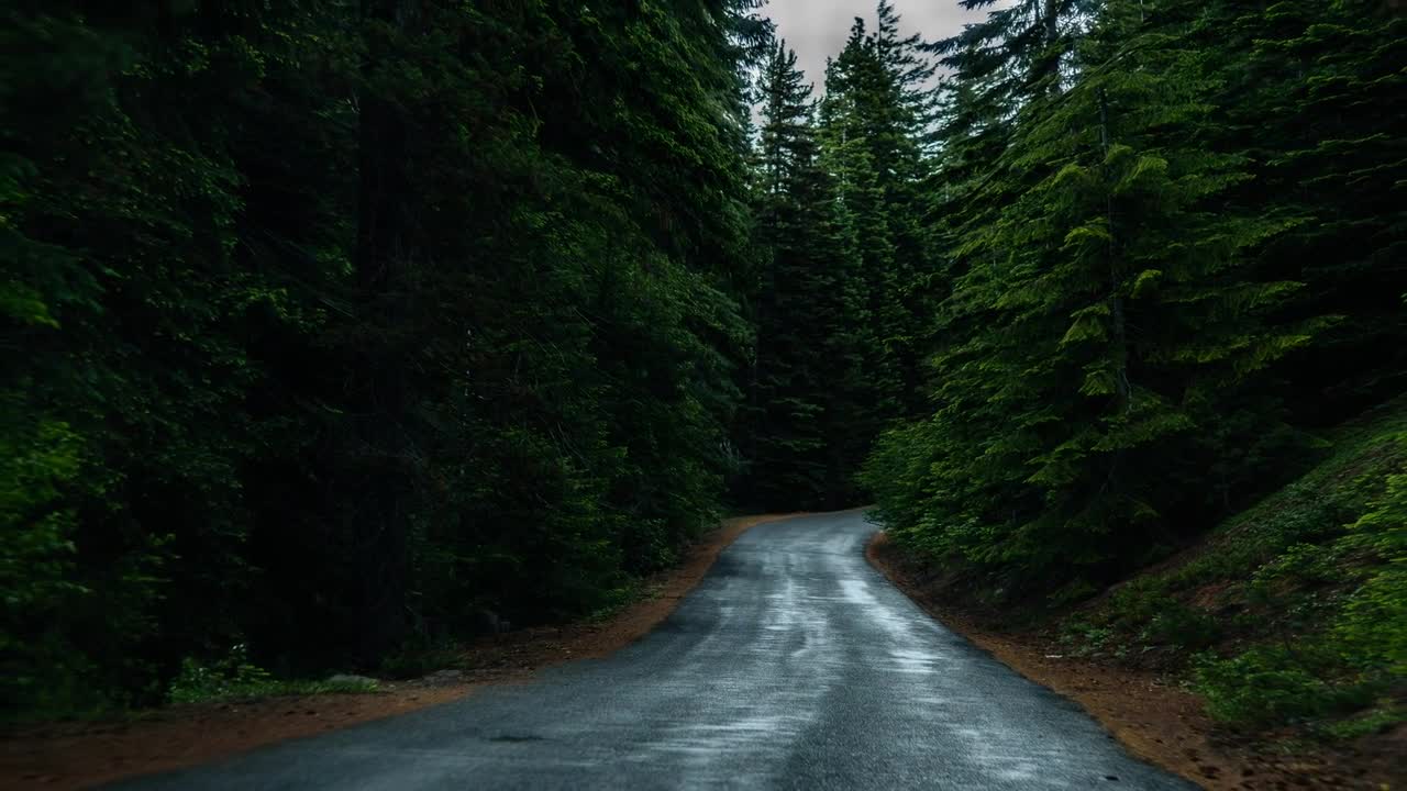 road by the forest