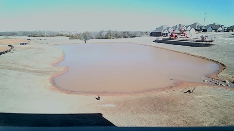 The Pond