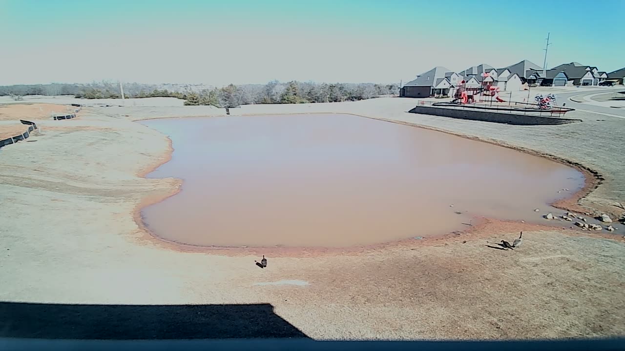 The Pond
