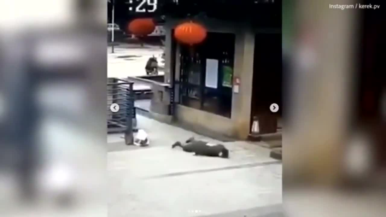 1st Chinese Covid Death on Video