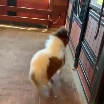 Trying to escape Monday like.