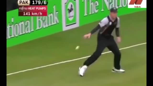 cricket fans-video cricket lovers-video #cricket #cricketlover