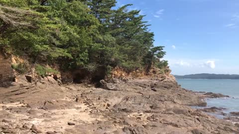 태배아영장 근처 sediment rock