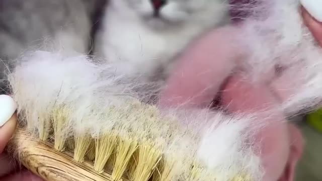 Finally, Sonya got a toy made of herself
