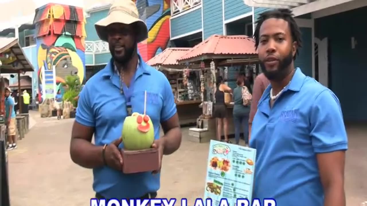 ROATAN MONKEY LALA