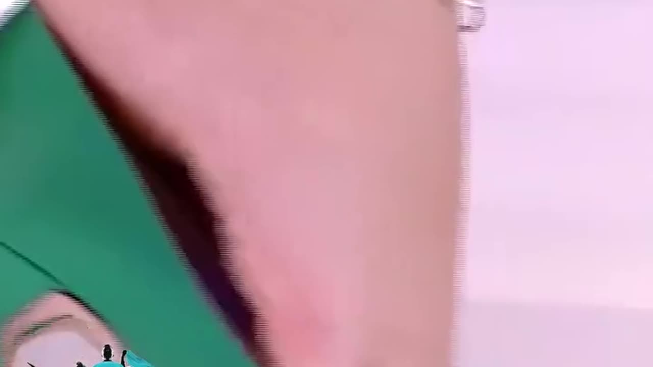 اقدام رانيا يوسف