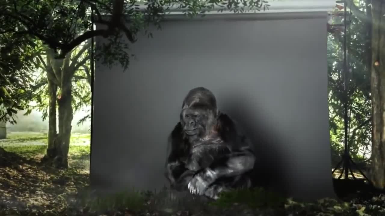 The world's last talking gorilla Koko has left a dying message to humanity!