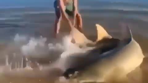 This is a beautiful and charming water-dwelling species