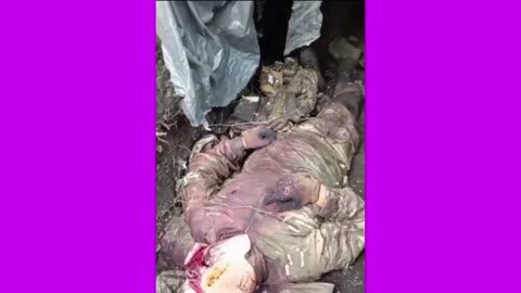 18+++ The Horrors of War?