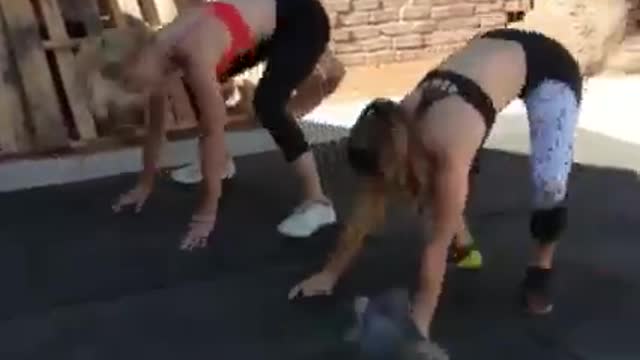 lazy puppy doing exercise.😂😂😂😂