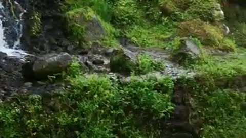 Cascade de sao miguel