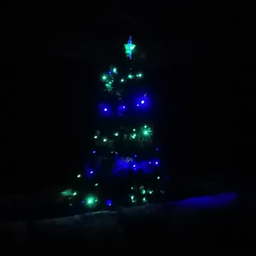 3.12.2024 Christmas in Kuranda (1)