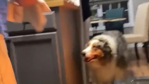 Disheartened Dad Discovers Source of Oven Fire