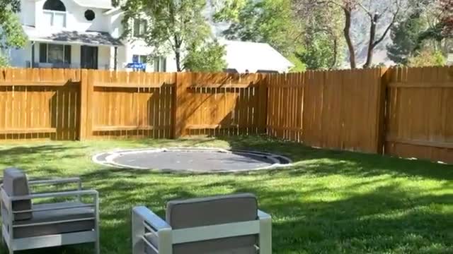 Doggo Playing Fetch Runs into Outdoor Furniture