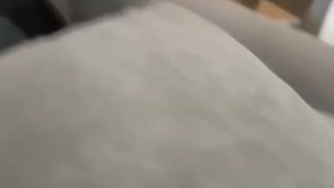 🤣🤣🤣🤣🤣