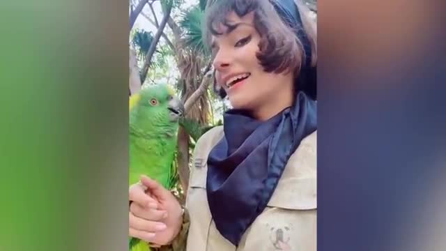 Parrot talking smart and funny