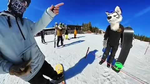 That was a first. #furry #snowboard #halfcabking