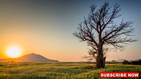 Relaxing Music | Sleeping, Meditation, Stress Relief | [758] ⭐️
