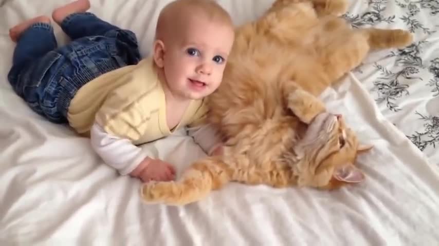 Cats meeting babies for the furst time 🤩