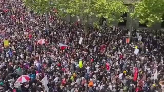 vienna protest