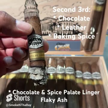 Warped Bits of Havana de Capital 6x52 Toro Box Pressed #Shorts #Cigars #Short #CigarOfTheDay #Cigar