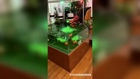 Goalfish: Sports Fans Footy Pitch Fish Tank