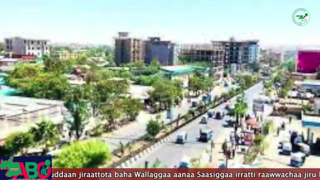 Oduu Waaree ONM-ABO Amajjii 22,2024 Itti Dhiyaadhaa!