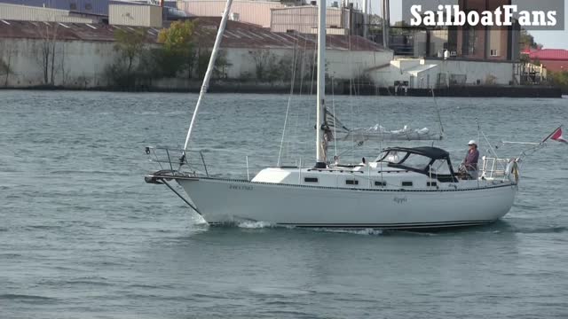 Ripple Sailboat Light Cruise Under Bluewater Bridges In Great Lakes