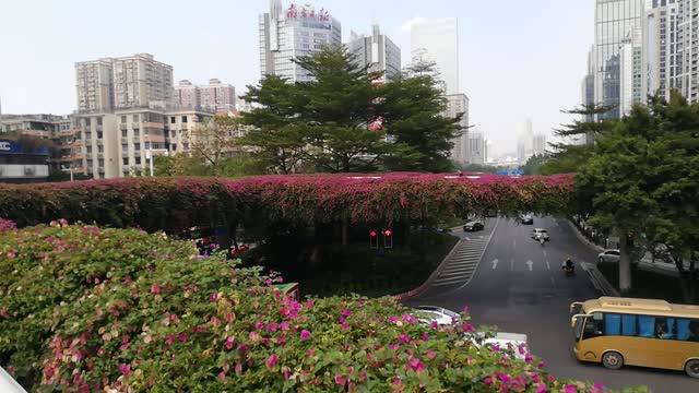 Guangzhou CBD