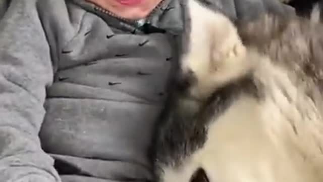 The Full 4 Year Story Of My Husky & Baby Becoming Best Friends!!