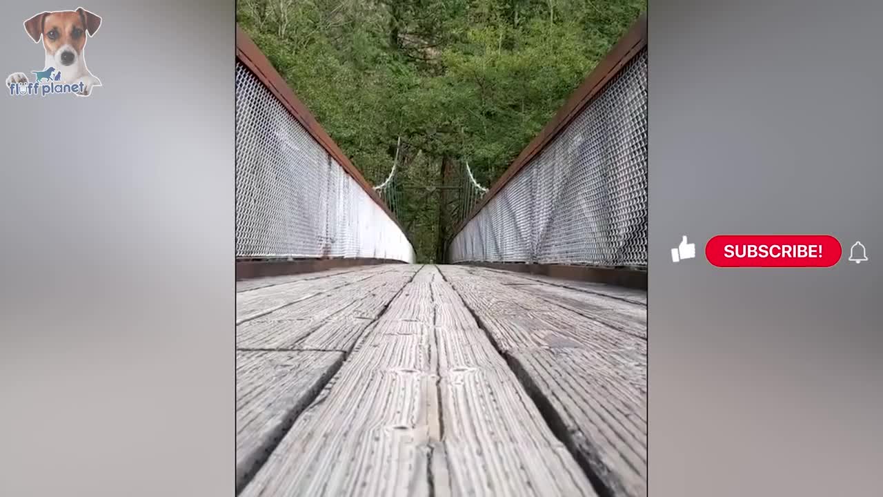Fun laugh watch