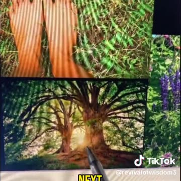 Get Biologically Charged⚡️