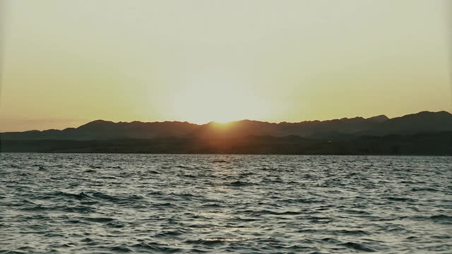 The smell of the sea