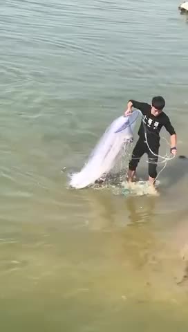 OMG😱 it's amazing fishing 🐟