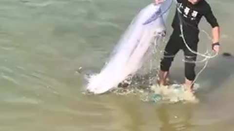 OMG😱 it's amazing fishing 🐟