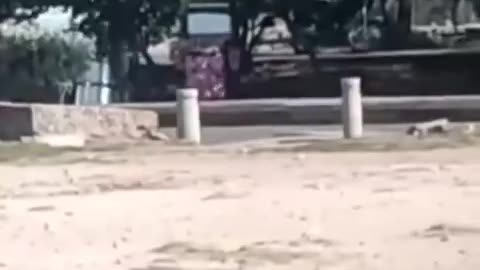 Turistas defecan