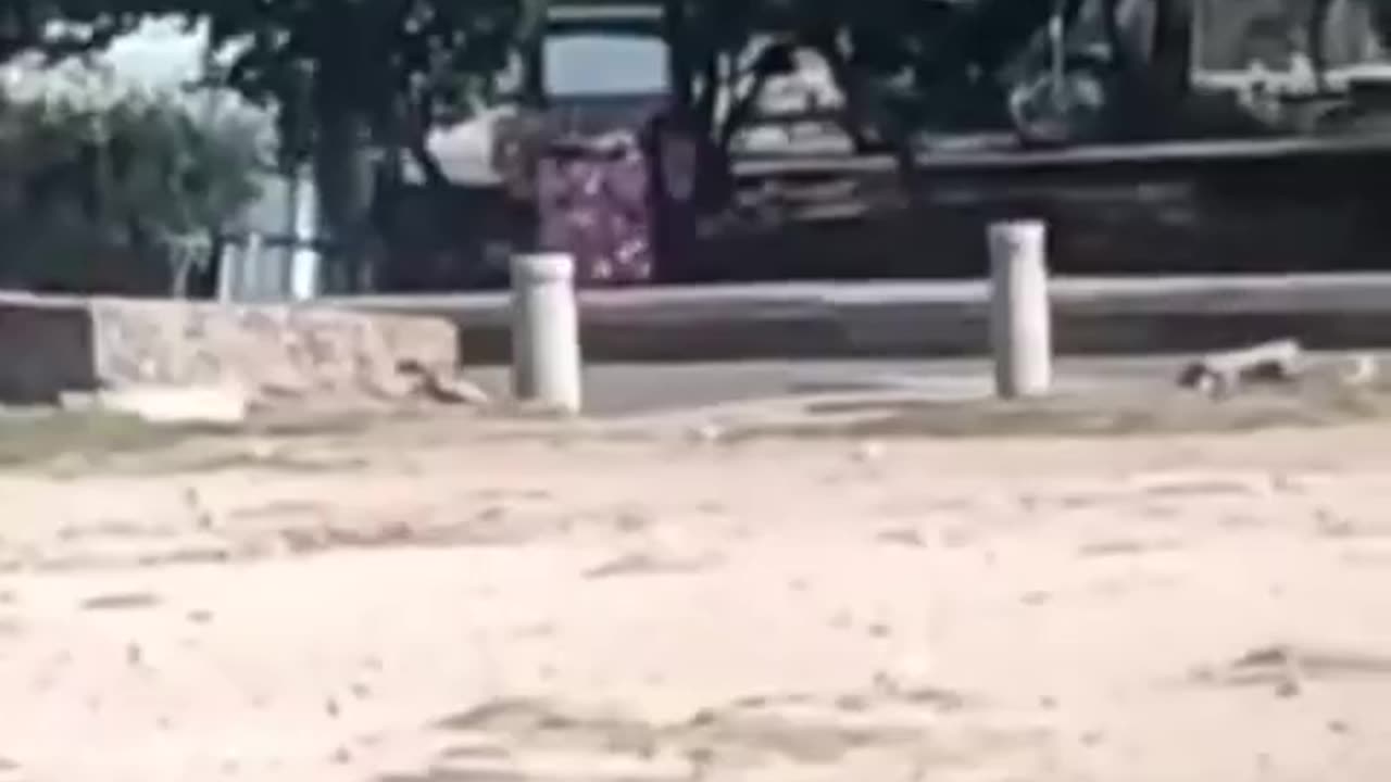 Turistas defecan