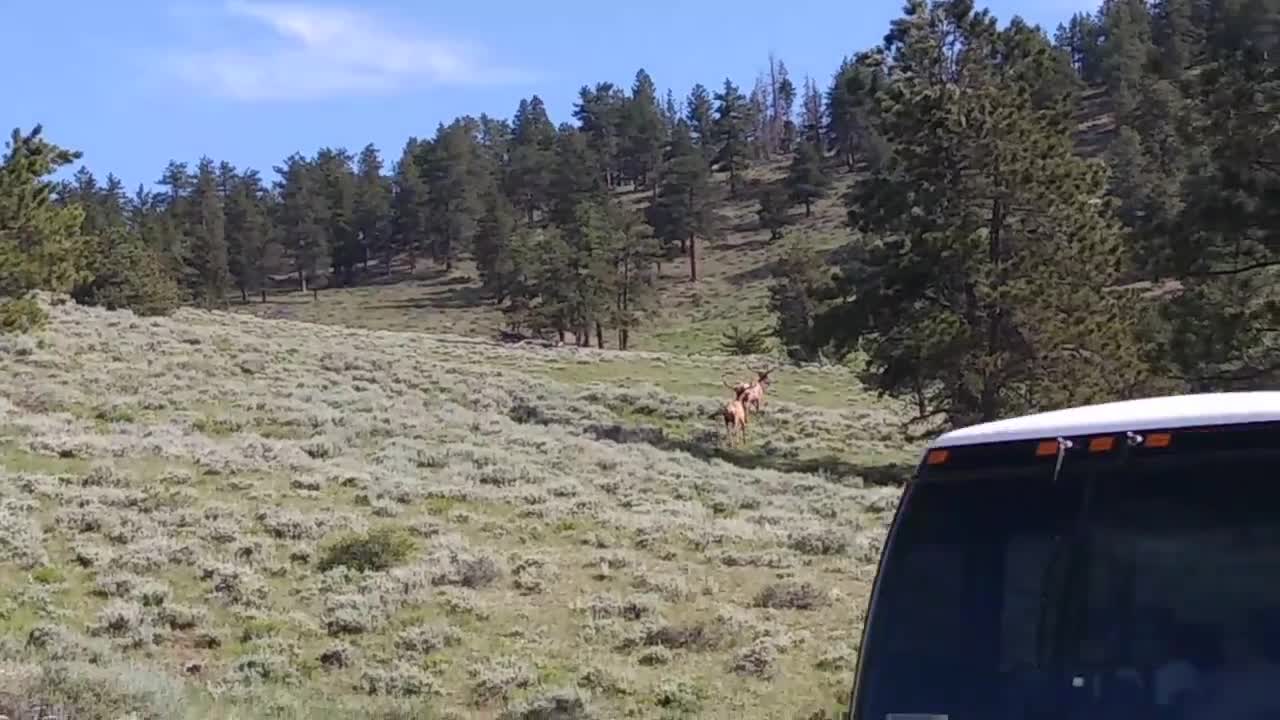 Rocky Mountain National Park Colorado