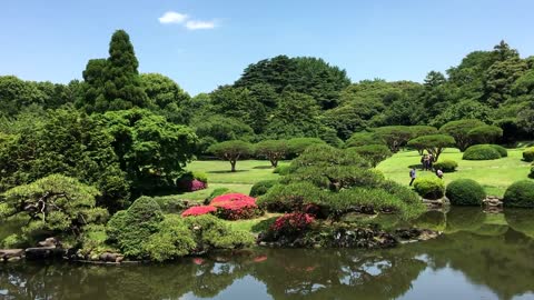Beautiful Nature View