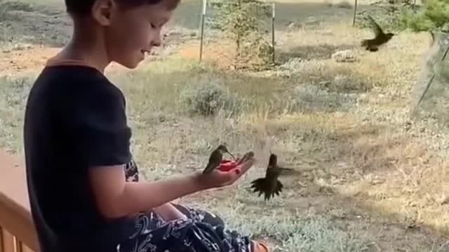 Purity of heart attracts Peace and Love – Boy and Hummigbirds