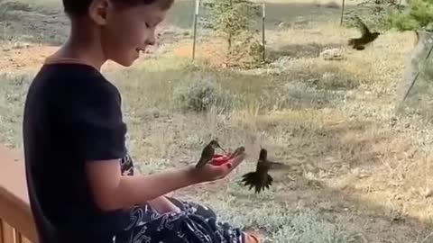 Purity of heart attracts Peace and Love – Boy and Hummigbirds