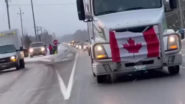 Canadian Truckers Convoy "We're NOT Gonna Take It Anymore"