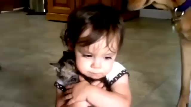 Best funny babies and animals campilation