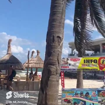 Afternoon In Playa Del Carmen