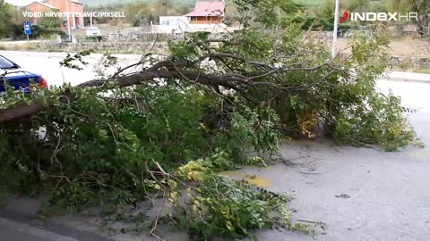Jako jugo srušilo stablo na cestu u Dubravi kod Šibenika
