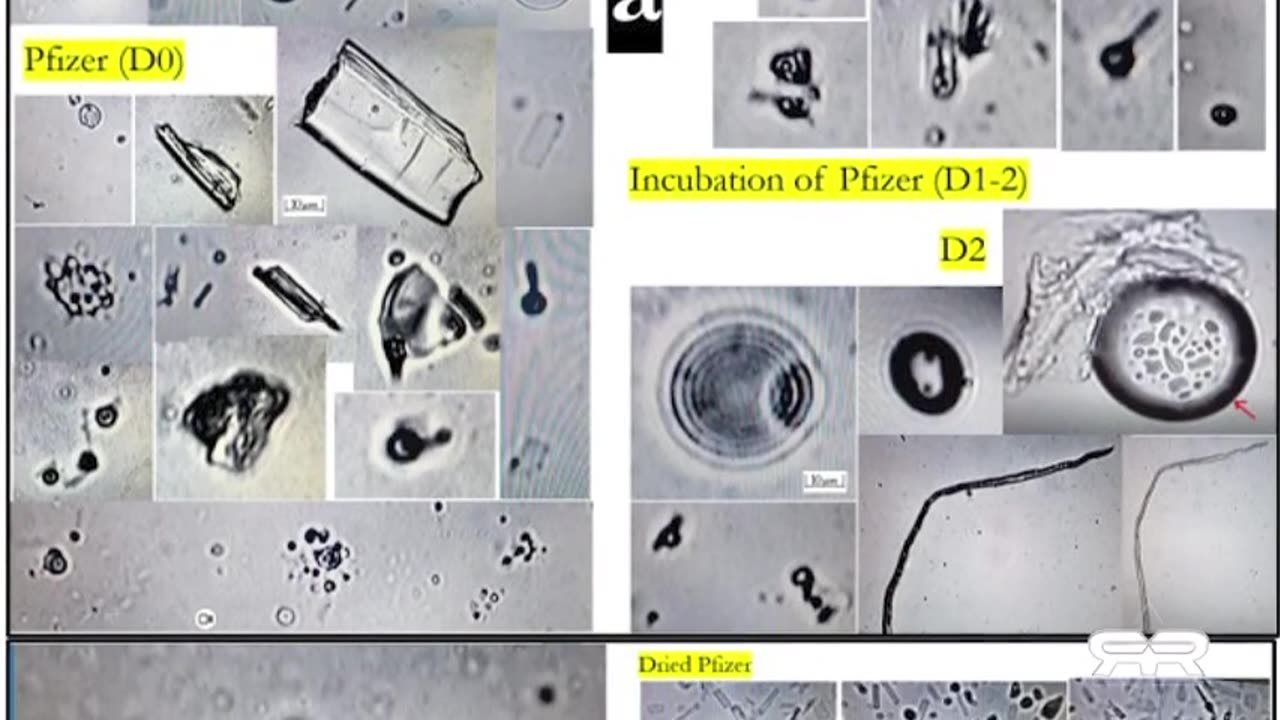 ️️🔥️️️️️💥💥🔥️️️ Study Shows Self-Assembly Nanobots in the COVID-19 Injectables