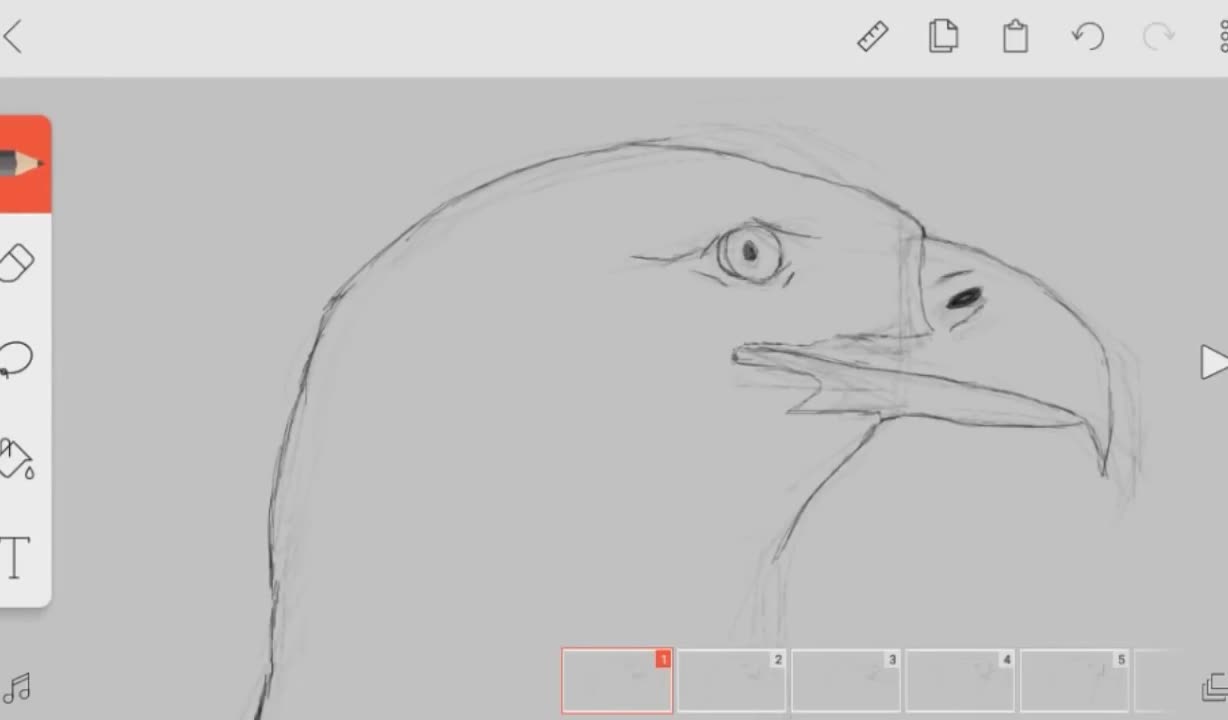 Choose A Pencil Tool To Draw The Eagle's Mouth.