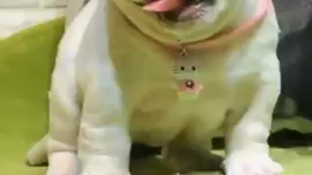 Cute baby short video